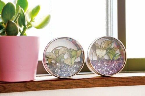 あるだけでオシャレになる丸くてくっつく小物入れ イメージ5