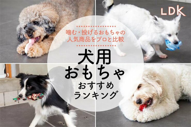 犬用おもちゃのおすすめランキング。歯磨き＆投げるタイプの人気商品をテスト