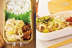 男子弁当もどんとこい！作り置きゼロの“同時レンチン”ボリュームレシピのコツは？【LDK】