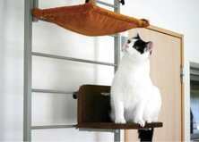 キャットタワー人気おすすめ4選｜猫と編集部が人気製品を検証