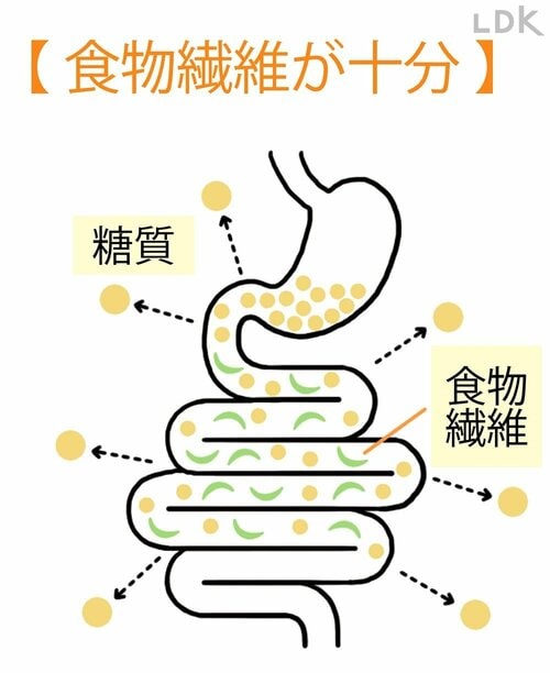低GI主食は食物繊維も摂れるものが多い 低糖質麺おすすめ イメージ2