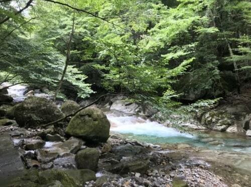 トラウトロッドにはどんな種類がある? エリアトラウトロッドおすすめ イメージ