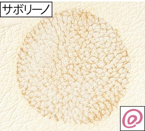 テスト結果:洗浄力