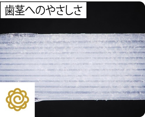 歯茎へのやさしさ：刺激が少ない設計 デンタルフロスおすすめ イメージ