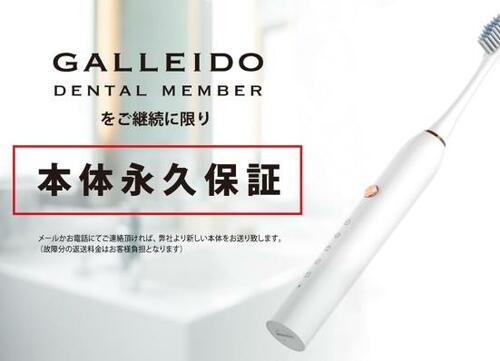 月308円で電動歯ブラシが使える「GALLEIDO DENTAL MEMBER（ガレイドデンタルメンバー）」 イメージ