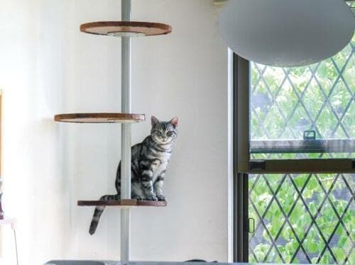 丸型のステップがかわいい！ ボンビアルコン「キャットポール」 イメージ