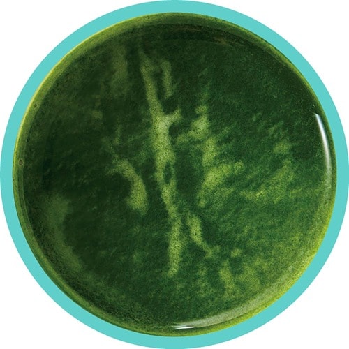 青汁おすすめ ヤクルトヘルスフーズ 私の青汁 国産大麦若葉 イメージ2