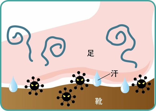 そもそもなんで臭うの? 「クサイ…」の原因を解明します イメージ5