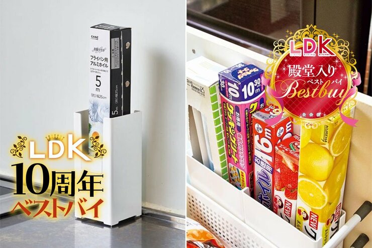 【LDK殿堂入り】頑丈で頼れる！引き出し整理ならカインズ「Skitto シリーズ」がおすすめの理由は？