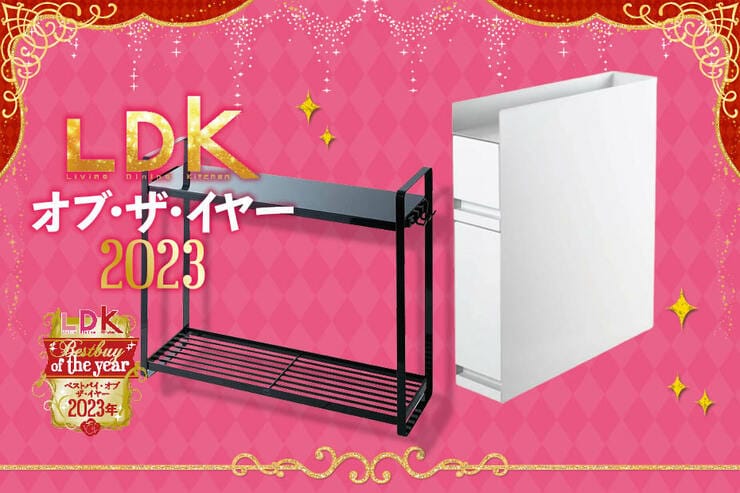 調味料は隠す派？見せる派？ 山崎実業なら収納力優秀でどちらもOKです【LDKベストバイ2023】