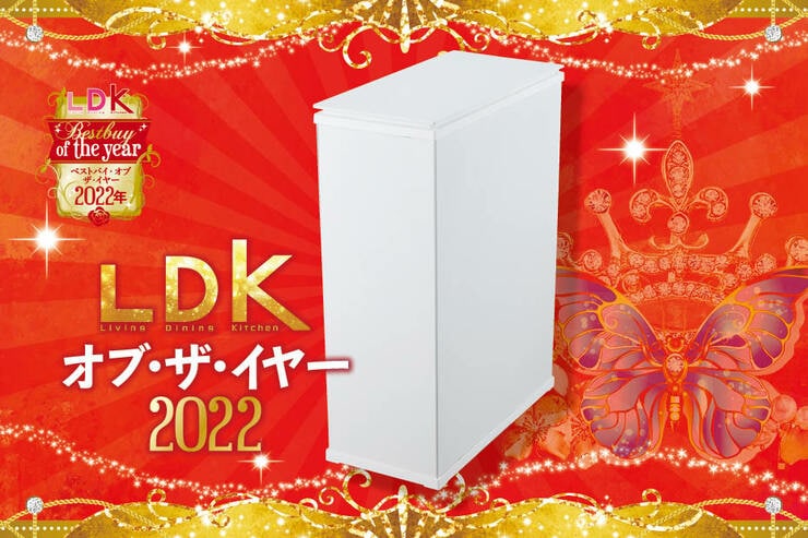 キッチンのごみ箱ならアイリスオーヤマ「スチールペール」。ニオイも生活感も一掃【LDKベストバイ2022】