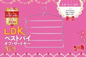ニトリの“スカート収納”ハンガーが有能！ ツルツル素材もすべらないんです【LDKベストバイ2024】