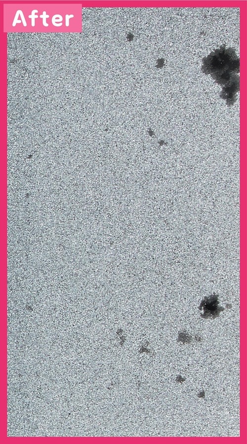 洗浄後 プチプラ洗顔料おすすめ イメージ