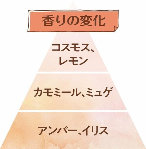 香りの変化 香水おすすめ イメージ