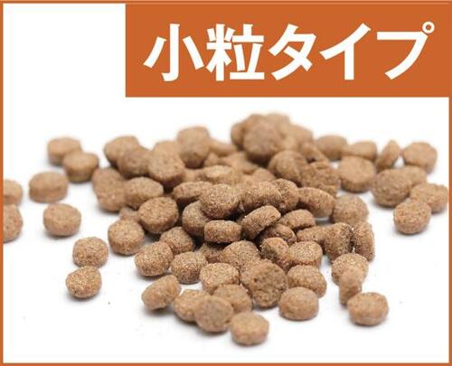 テスト①:餌の出方エーハイムはどんな餌も適量給餌可 自動給餌器おすすめ イメージ