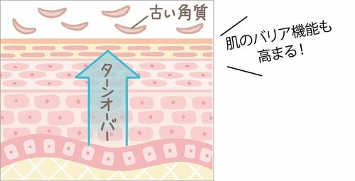 特徴2: 肌機能を整えて肌をふっくらさせる 酵素洗顔おすすめ イメージ