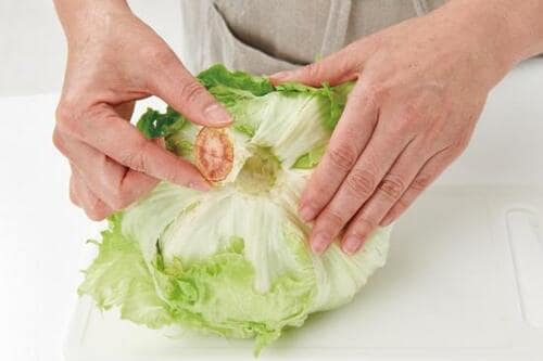 野菜の保存術5:レタス・キャベツ