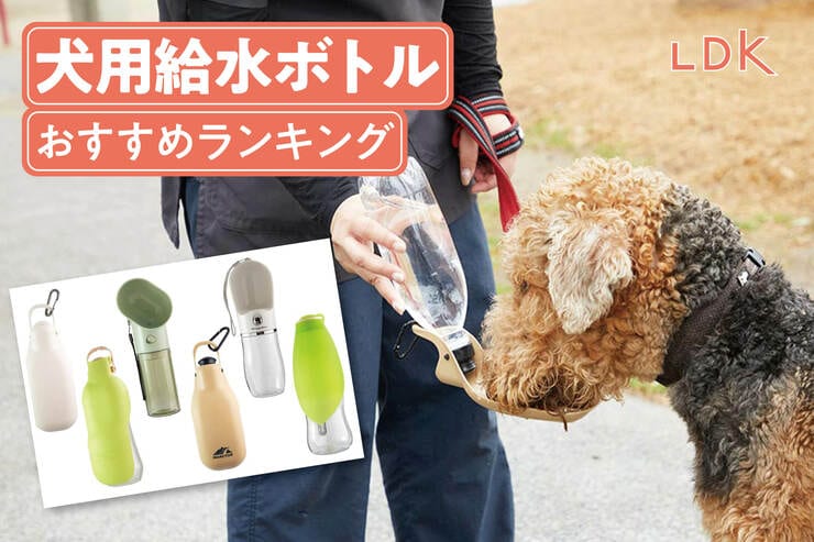 犬用給水ボトルのおすすめランキング。お散歩中の水分補給に便利な人気商品を比較