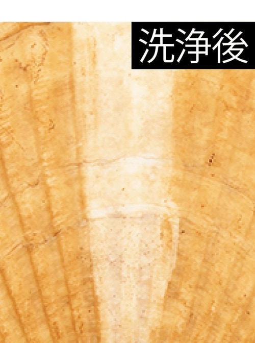 ホワイトニング力：ここまで色がかわります 紫歯磨き粉おすすめ イメージ3