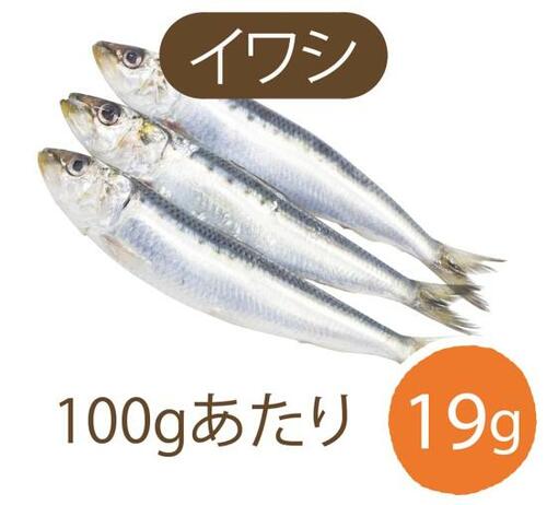 【魚】青魚を食べるといい油がとれます!