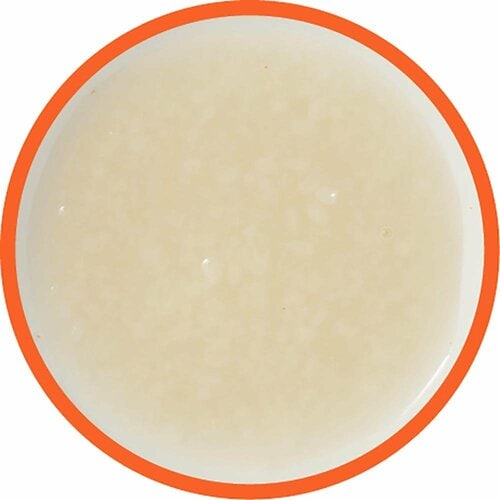 塩麹おすすめ 千年こうじや 塩こうじ スパウトパック イメージ2