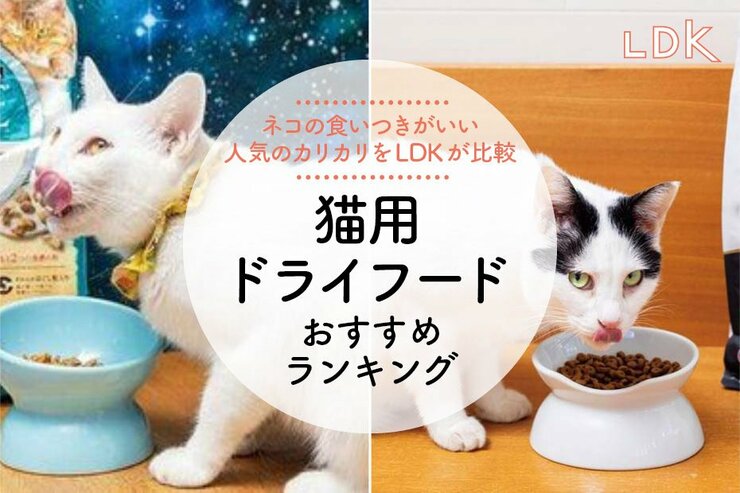 猫用ドライフードのおすすめランキング28選。ペット栄養管理士が人気商品を徹底比較