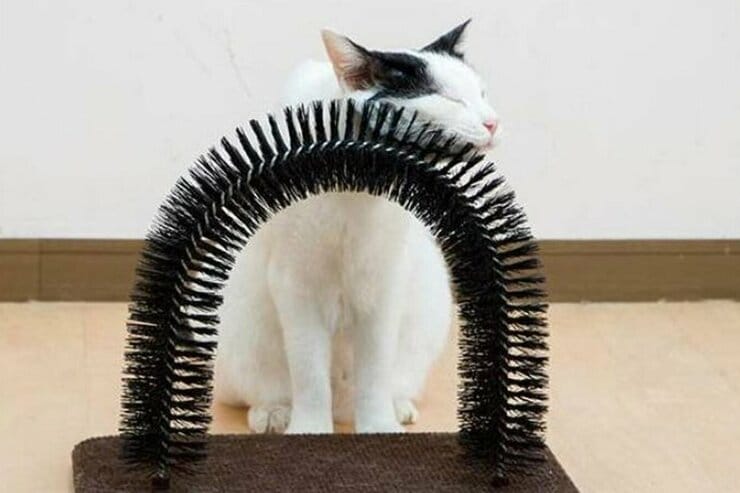 ネコがスリスリ！“猫用グルーミングセルフブラシ”のおすすめは？│猫7匹と比較