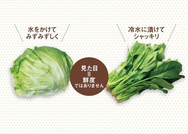 目利きが通じない スーパーの野菜選びの意外な秘密 360life サンロクマル