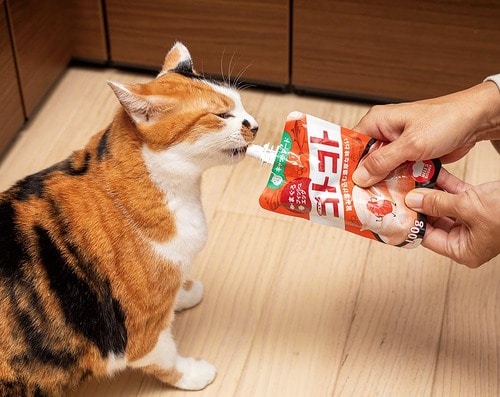手に持った状態であげられる 猫用ウェットフードおすすめ イメージ