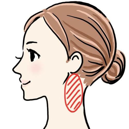 1:耳下の首まわりをほぐす