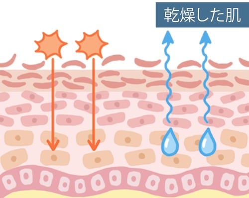 乾燥した肌 プチプラ化粧水おすすめ イメージ