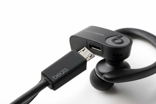 装着しやすい安定感のあるイヤーフックで長時間もOK イメージ3