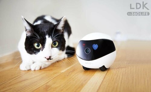 2：リモート操作で動かせる スマート家電おすすめ イメージ2