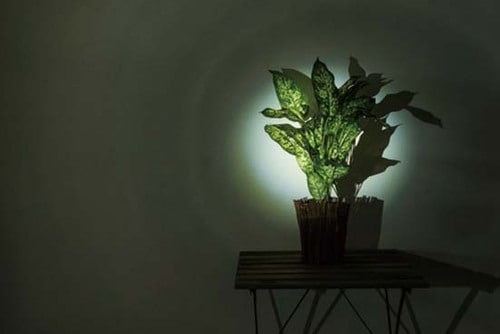 基本機能はSランクレベルやや重めのCREE XM-L T6LED
