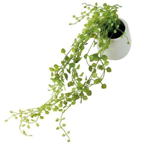 明るいグリーンで気分もUPするニトリの「ハンギンググリーン」 イメージ