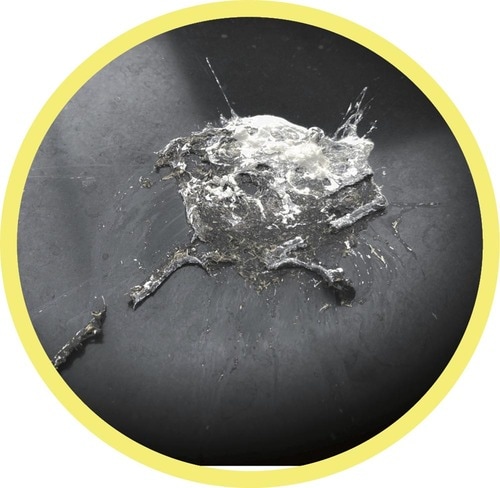 頑固な鳥のフンも落とせる イメージ