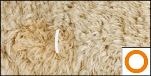 ラグ×紙片＋毛髪 軽量コードレス掃除機おすすめ イメージ