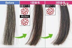 白髪染めトリートメントってどんな感じ？ “色付きよく自然”のちょうどいいのを発見【LDK】