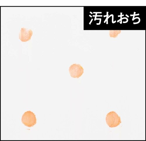 汚れがはっきり残っている 流せるトイレクリーナーおすすめ イメージ