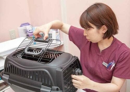 安くても欠点なし！ ペティオの2ドアタイプ イメージ2