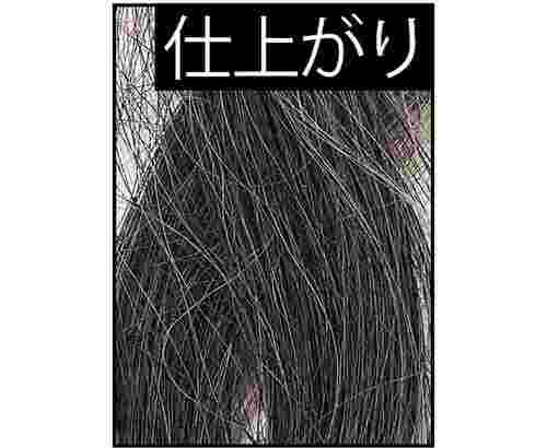 仕上がり 白髪染めおすすめ イメージ
