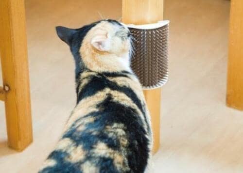 ドギーマンハヤシ「ねこすりグルーミング」 イメージ2