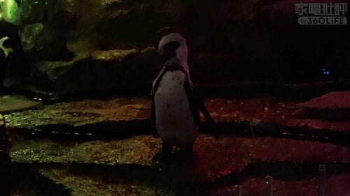 SONY ZV-1II(1.0型センサー) 家電批評ベストバイオブザイヤーおすすめ イメージ