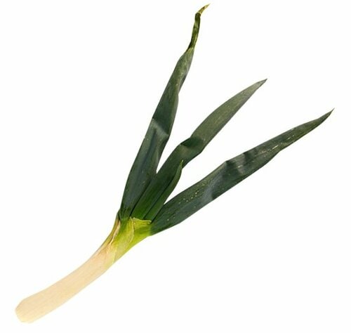 ねぎの風味がより強く甘～い白ねぎ系 イメージ6