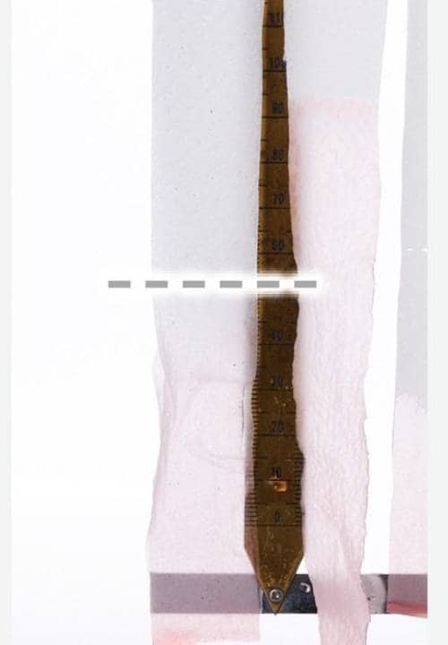 吸水性：✕ トイレットペーパーおすすめ イメージ