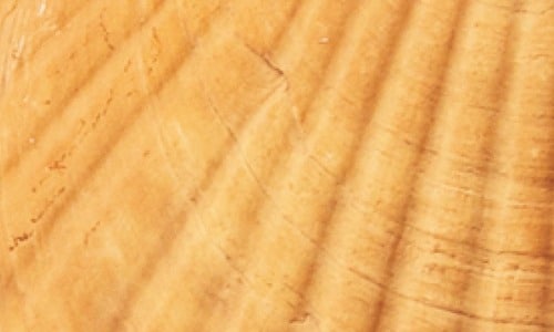 ホワイトニング前 ホワイトニングジェルおすすめ イメージ