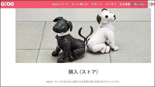 どうやって買うの？ ペットロボットおすすめ イメージ