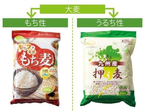「押麦」と「もち麦」は食物繊維量がやや違うけど大差ナシ！ イメージ