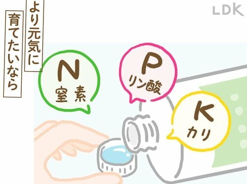 4:肥料はあげたほうがいい? ガーデニング用霧吹きおすすめ イメージ