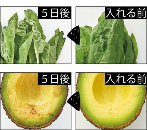 半透明で清潔感がある ストリックスデザイン「鮮度保持 ポリ袋」 鮮度保持袋おすすめ イメージ2